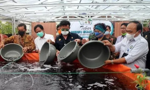 TEBAR BIBIT : Menteri Pertanian Syahrul Yasin Limpo saat menebar bibit lele di kolam dengan sistim pertanian terpadu di Desa Giriroto, Kecamatan Ngemplak, Boyolali Sabtu (19/12). (ANTARA / LINGKAR JATENG )