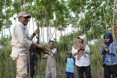 Penguatan Ketahanan Pangan Lokal, Lumbung Matraman Terapkan Pertanian Terpadu