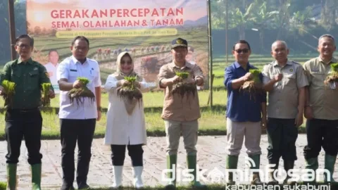 Produksi Gabah Tertinggi di Indonesia, Sukabumi Perkuat Swasembada Pangan Nasional