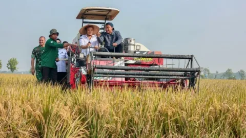 Target 10,5 Juta Ton Padi, Pemprov Jateng Genjot Produksi Padi Hadapi Kemarau Panjang