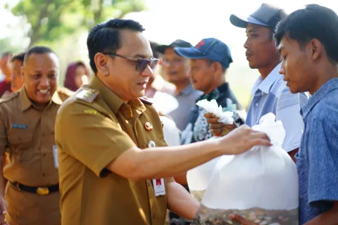 Pembudidaya Terdampak Banjir Terima 166.470 Benih Ikan Nila, Pemkab Pati Percepat Pemulihan