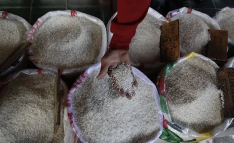 Bapanas Ungkap Alasan Harga Beras Masih Mahal: Harga Gabah Petani Tinggi