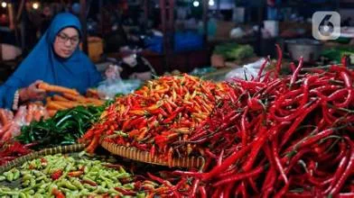 Kenaikan Harga Cabai Rawit di Pasaran Mencapai 22,3%