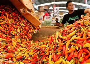 Kenaikan Harga Cabai Rawit di Pasaran Mencapai 22,3%