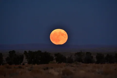 BMKG Ingatkan ada Fenomena Harvest Moon pada 26-27 September 2026