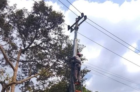 PLN Icon Plus Rapikan Kabel Jaringan di Wonosobo, Infrastruktur Lebih Tertata