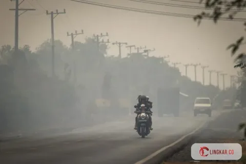 Dampak Langsung yang Dirasakan Berbagai Masayarakat dari Karhutla