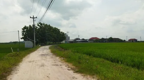 kawasan lorong indah pati hanya untuk lahan pertanian