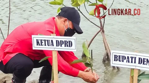 dprd-demak-tanam-1000-mangrove
