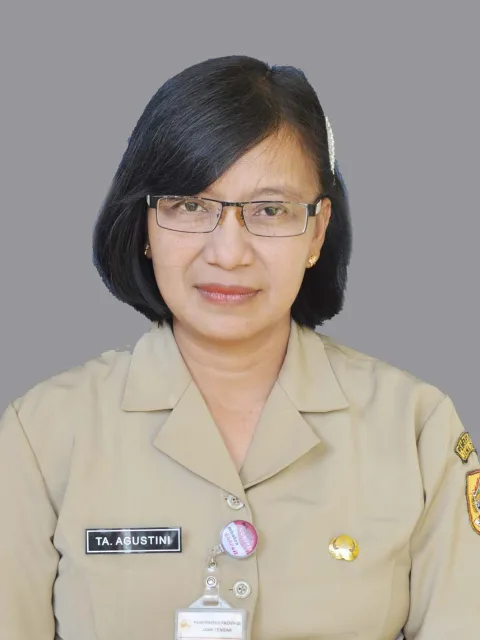 Turini Adi Agustin