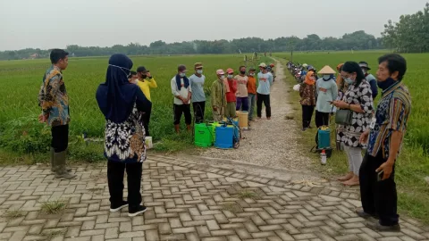DP4 Blora