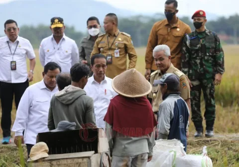 Jokowi panen raya