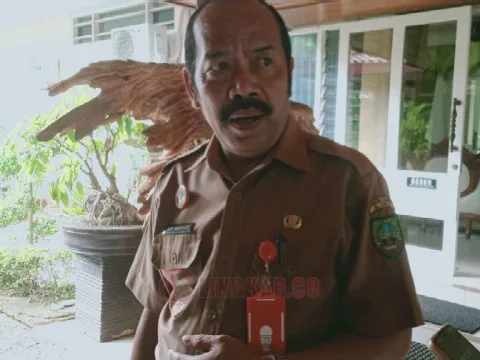 Pewarna tekstil