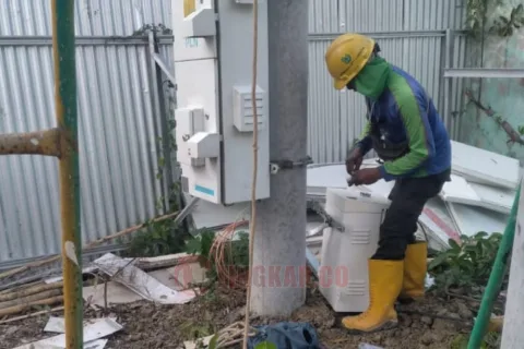 PLN