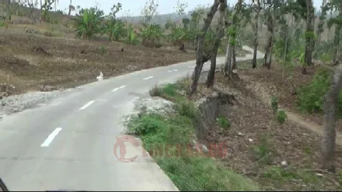 Jalan alternatif Sojomerto