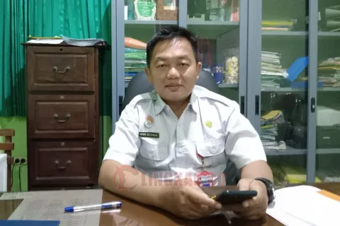 DLH Pati
