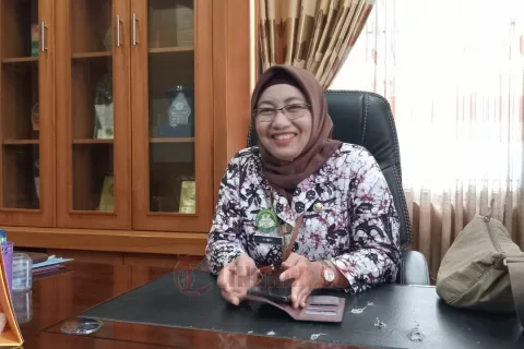 Dinkes Pati