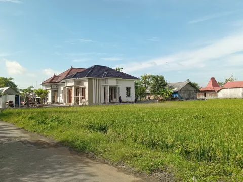 Lahan pertanian di Pati yang dibangun rumah. Foto: Miftahus Salam/Lingkar.co