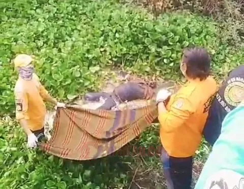 Proses evakuasi mayat tanpa identitas di Desa Wuwur, Kecamatan Gabus, Kabupaten Pati, Rabu (8/5/2024). Foto: Istimewa.