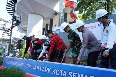 Taman Brillian Park