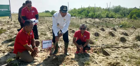 Penanaman mangrove di wisata Jembatan Merah Hutan Mangrove Desa Pasarbanggi, Kecamatan Rembang, Rabu (19/6/2024). Foto: Humas for Lingkar.co