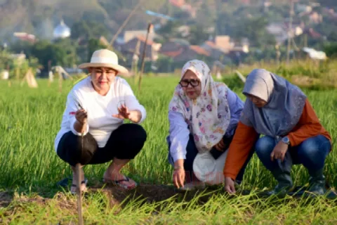 Wali Kota Semarang Berharap Padi Biosalin Bisa Beri Kesejahteraan Masyarakat Pesisir. Foto: dokumentasi