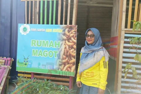 Aniqoh
