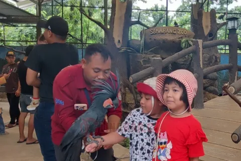 Petugas Semarang Zoo saat mendampingi dua anak berinteraksi dengan burung Kakatua Raja di Aves Garden Semarang Zoo. Foto: Rifqi/Lingkar.co