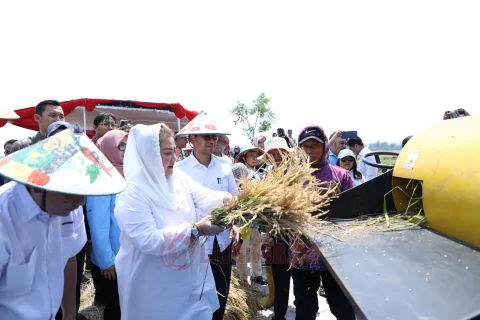 Walikota Semarang, Hevearita Gunaryanti Rahayu/Lingkar.co