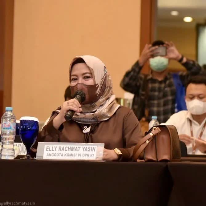 Anggota Komisi VI DPR RI Fraksi PPP, Elly Rachmat Yasin. dok pribadi/Muhammad Idris/Lingkar.co