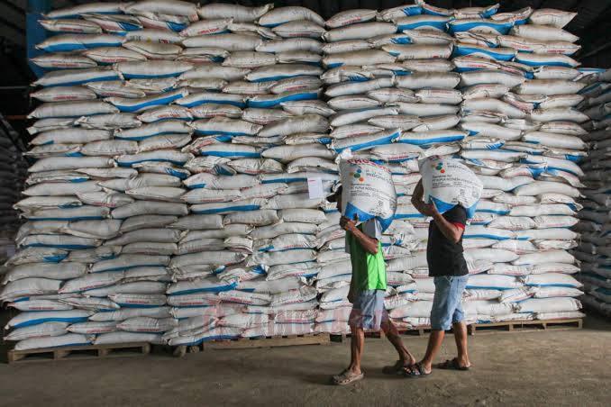 Alokasi pupuk bersubsidi turun signifikan. Foto: Istimewa.