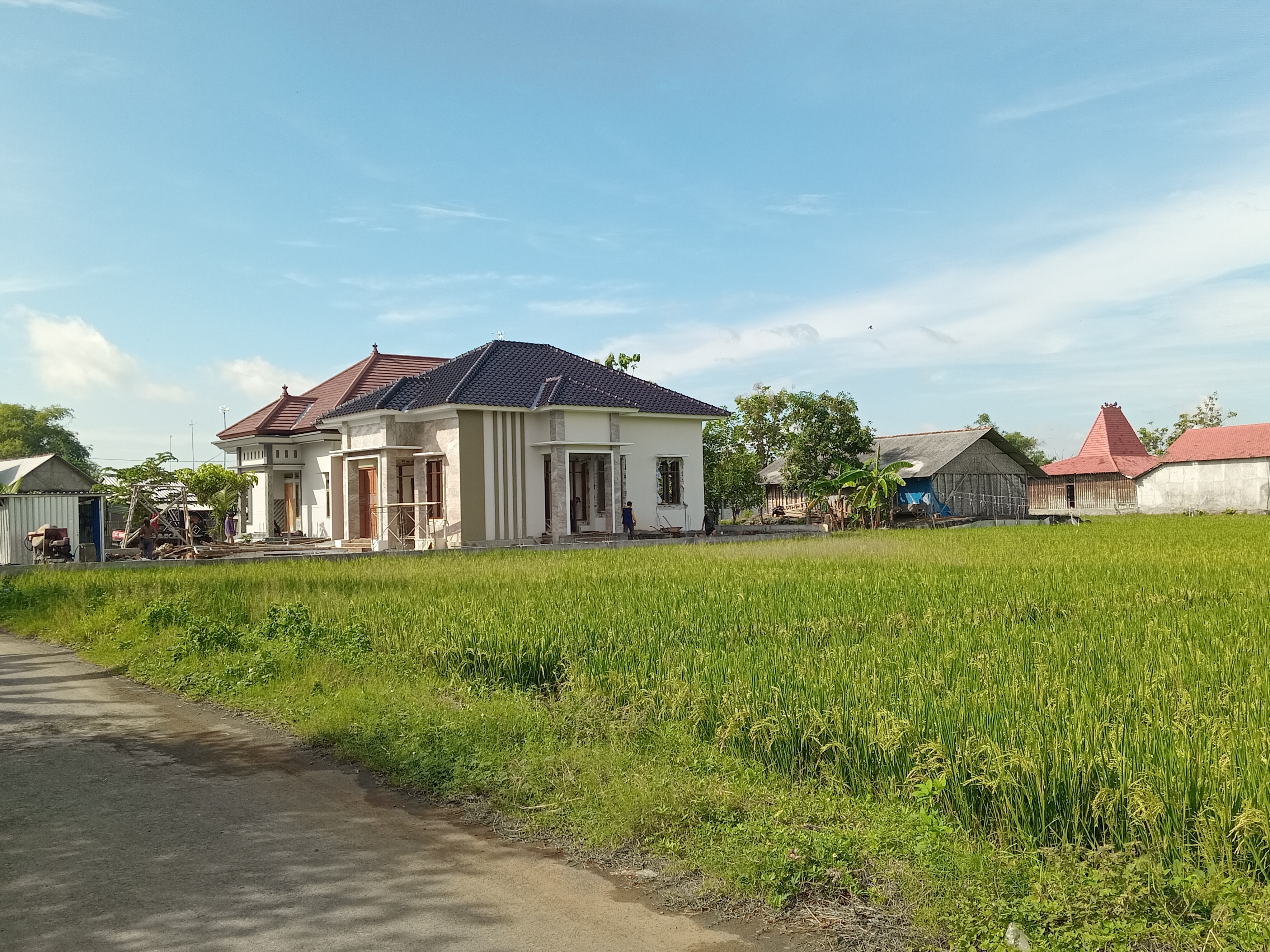 Lahan pertanian di Pati yang dibangun rumah. Foto: Miftahus Salam/Lingkar.co
