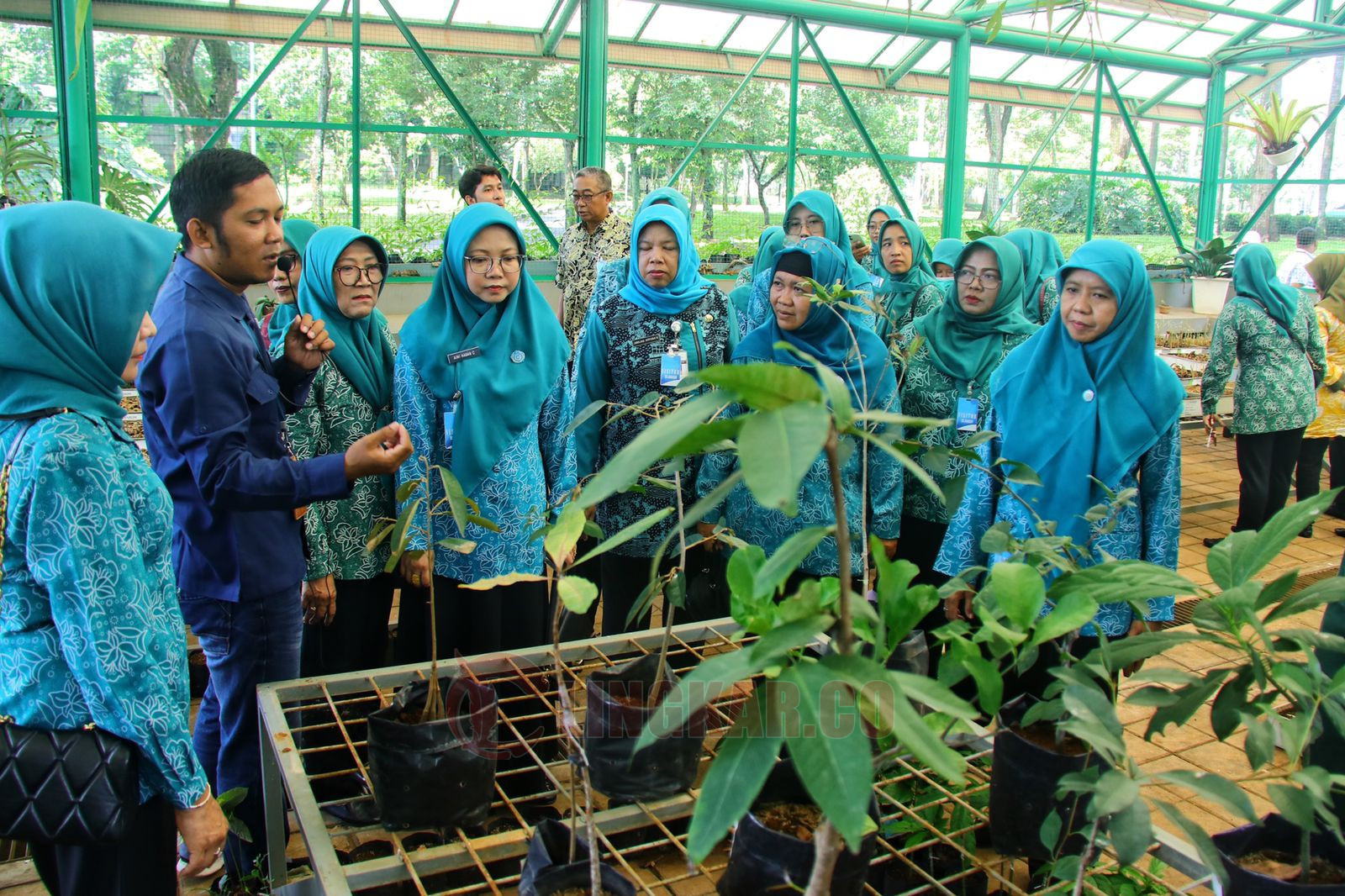 TP PKK Kabupaten Kudus mengunjungi lokasi pembibitan pohon dan pengolahan sampah di Djarum Oasis pada Rabu (21/2/2024). Foto: Dokumentasi.