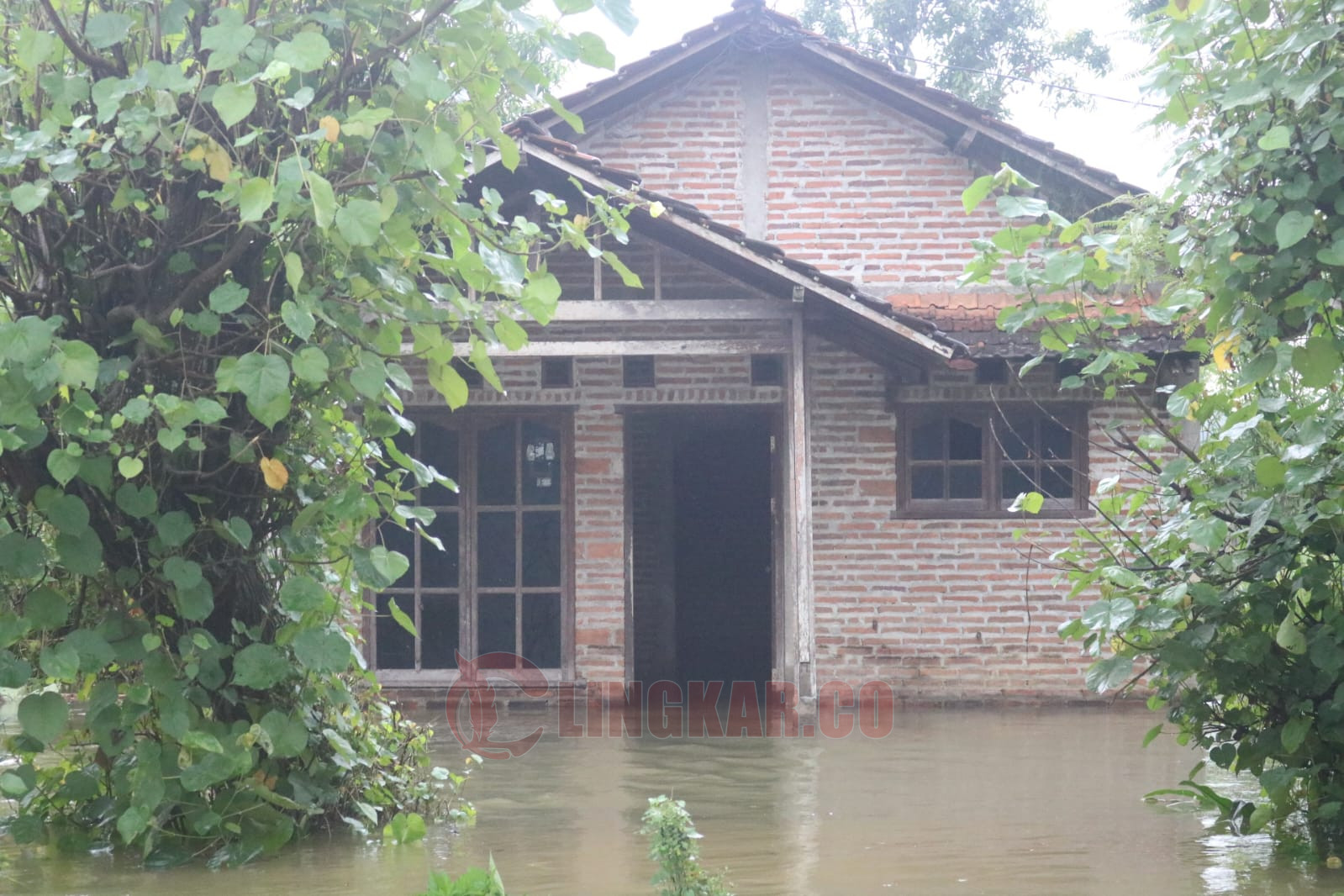 Rumah warga di Pati terendam banjir. Foto: Miftahus Salam/Lingkar.co