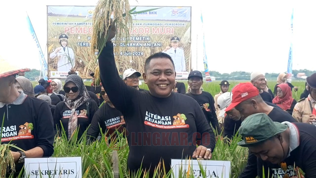 Pemecahan rekor MURI Panen Padi dengan Pemetik Terbanyak Gunakan Ani-Ani pada Kamis (4/7/2024). Foto: Istimewa.