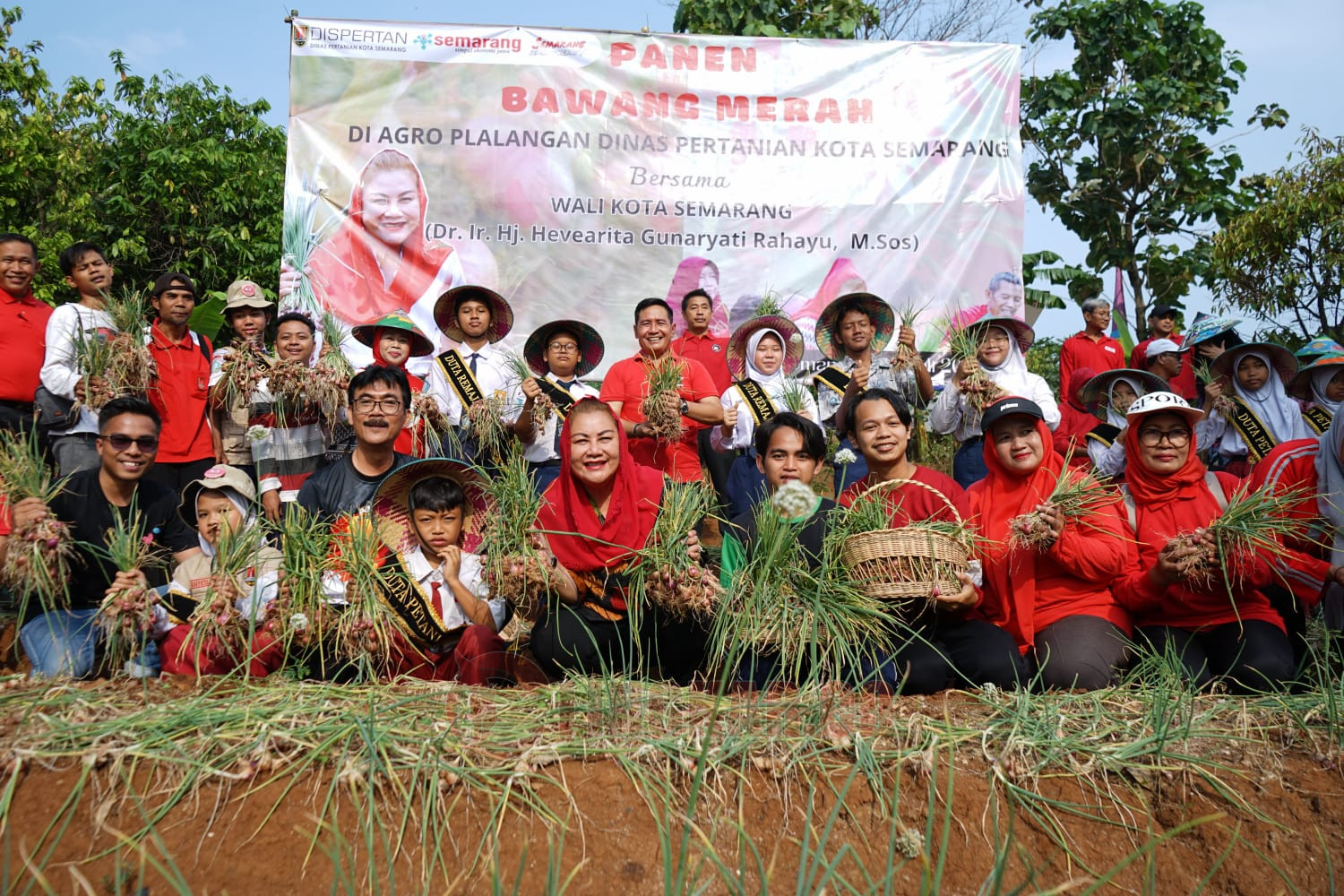 Wali Kota Semarang, Hevearita Gunaryanti saat panen bawang merah di Argo Plalangan Dinas Pertanian Kota Semarang/Lingkar.co