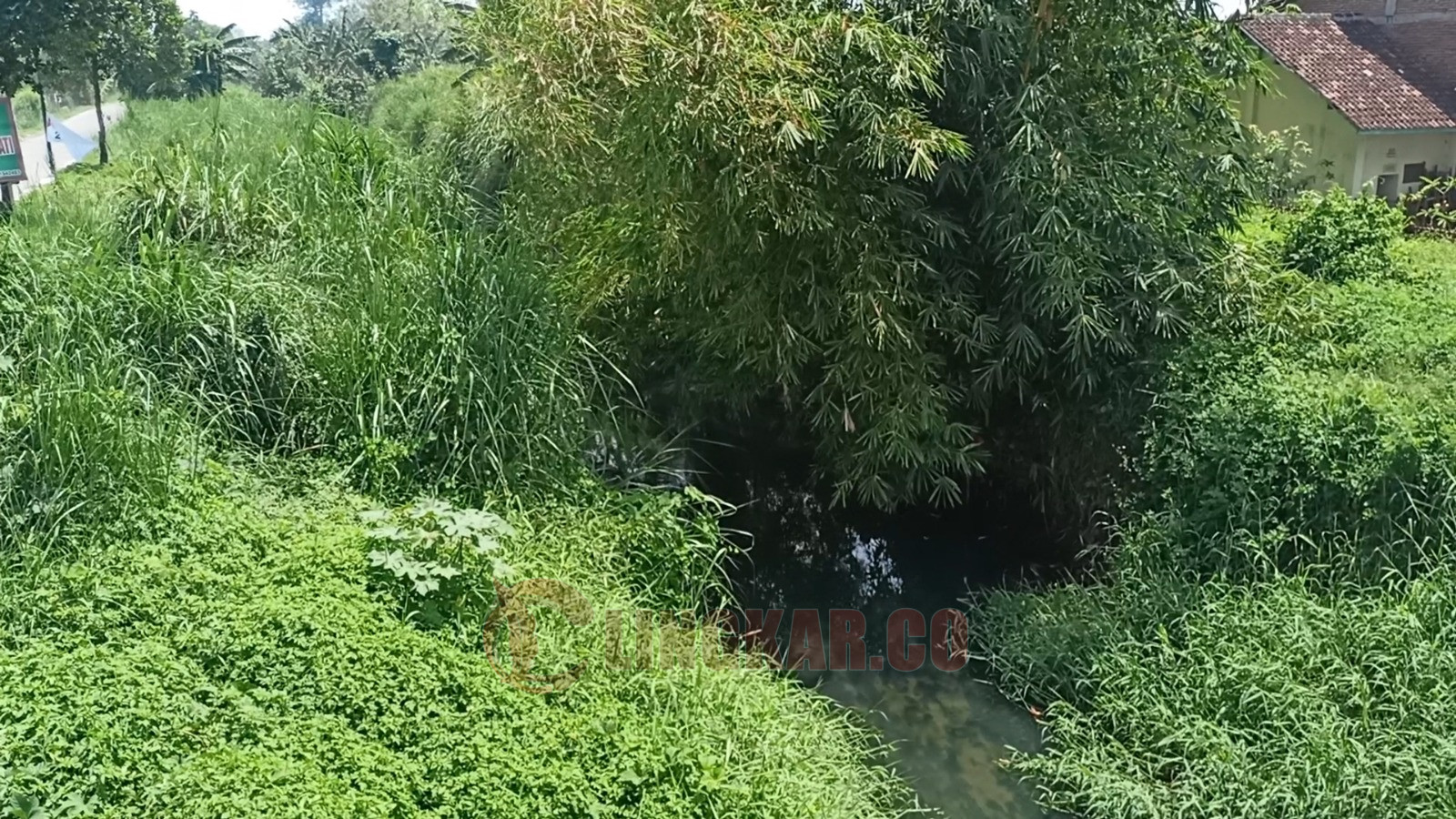 Sungai Plumbon. Kharenrisma/Lingkar.co