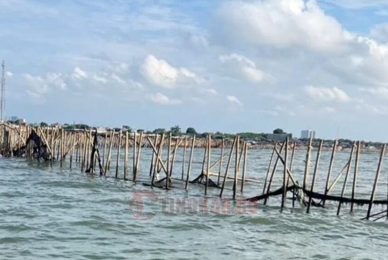 Kementrian Kelautan dan Perikanan (KKP) menanggapi soal viral Pagar Laut di Kota Tangerang. Dok: Istimewa