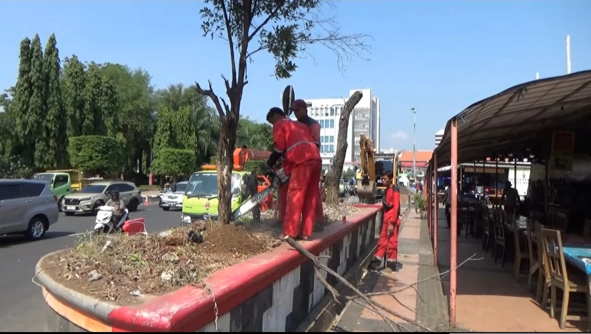 Simpang Lima Ditata Ulang, Pemkot Semarang Siapkan Wajah Baru dengan Pohon Asam