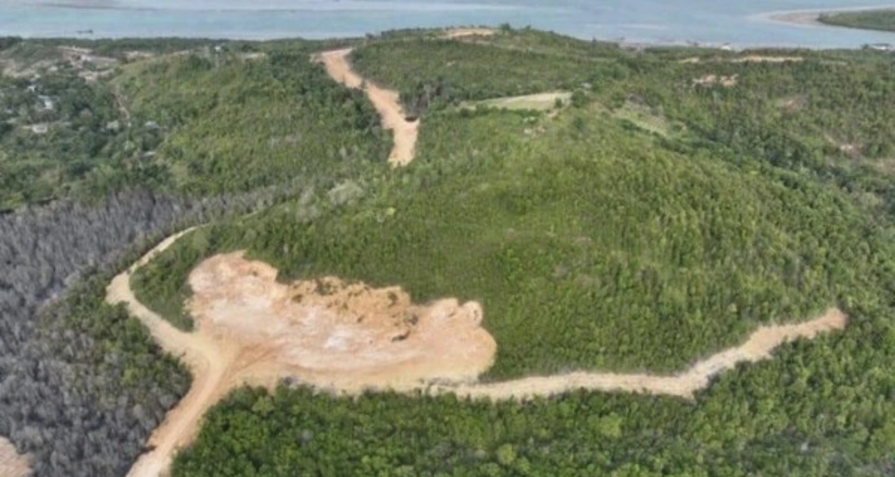 Kemenhut Tetapkan PT GTP Tersangka Korporasi Perambahan Hutan Lindung Tanjung Piayu Batam