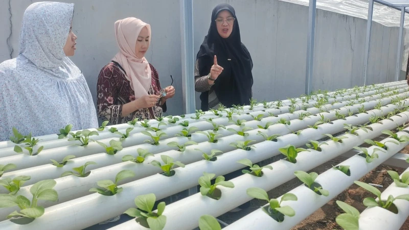Laksanakan Program Pengabdian Masyarakat, Dosen Unilak Pekanbaru Dua Hari di Kota Semarang Ajarkan Kemandirian Ekonomi Warga dengan Hidroponik