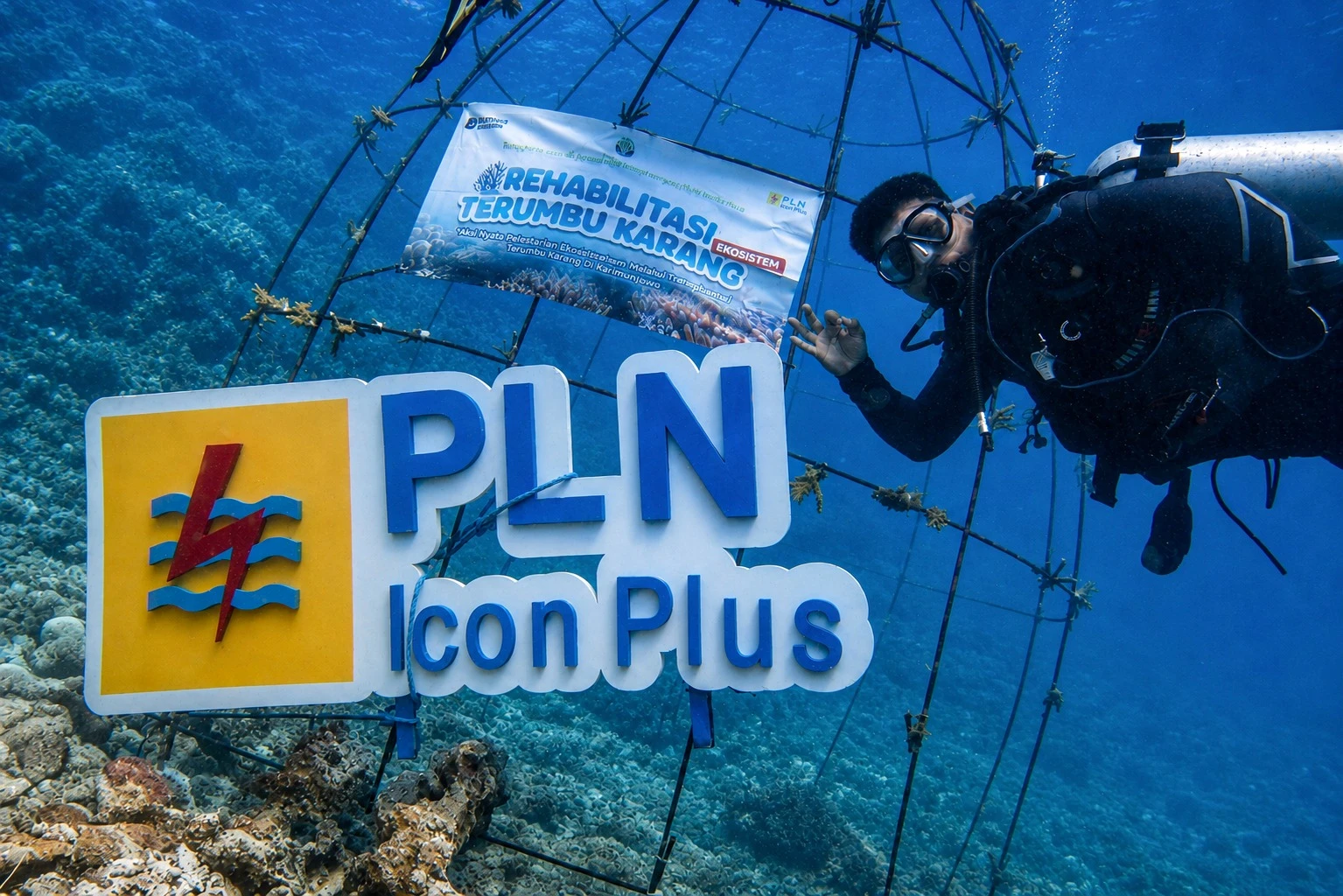 Penyelam Tanam Terumbu Karang di Karimunjawa, PLN Icon Plus Perkuat Kolaborasi Konservasi Laut