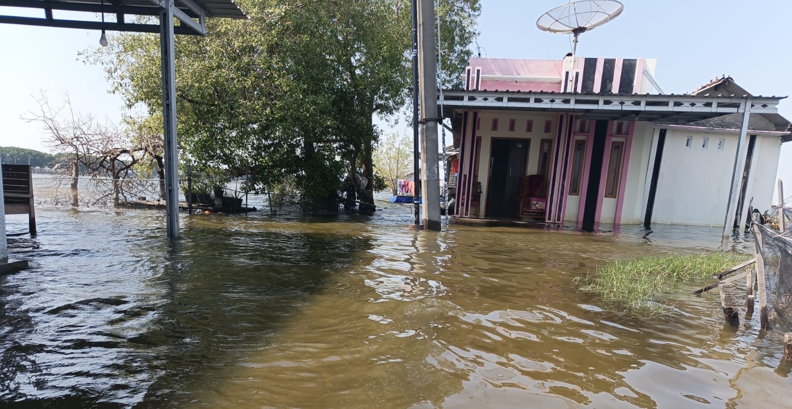 Rob Kembali Naik, Puluhan Rumah di Tunggulsari Pati Terendam Lagi