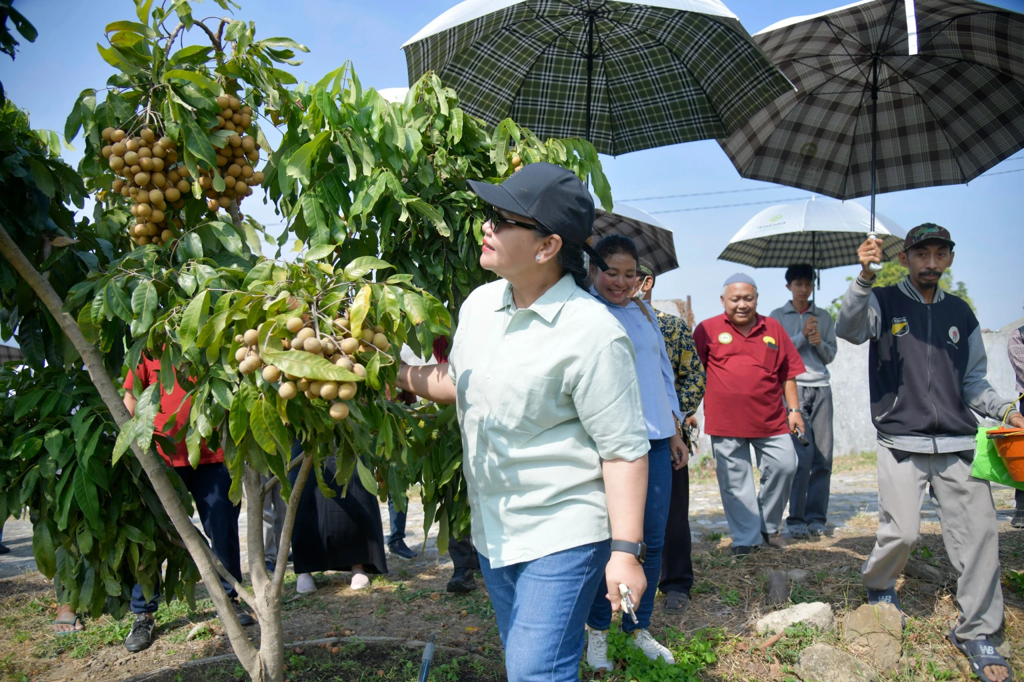 Sambut MTQ Nasional 2026, Agustina Siapkan Agro Eduwisata