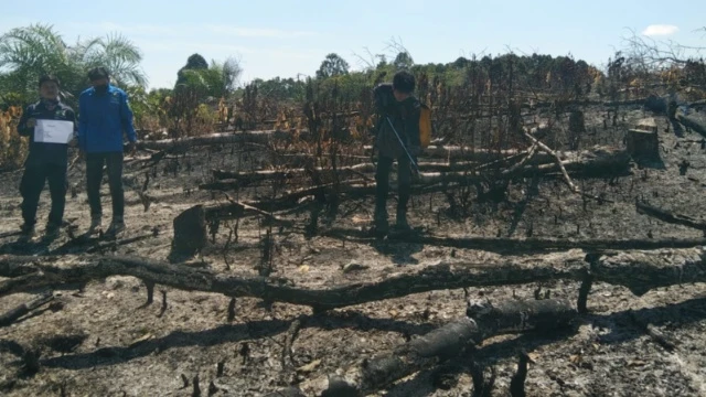 Smart FS Integrasikan Data Lapangan untuk Pantau Kawasan Hutan Kalimantan Barat