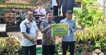 Tingkatkan Produktivitas, Pemkab Rembang Salurkan Ratusan Alsintan