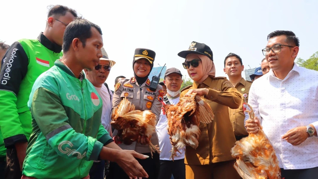 Kecewa Fluktuasi Harga, 1.760 Peternak Unggas Kendal Gelar Demo, Bagikan 15.000 Ayam Hidup Kepada Masyarakat