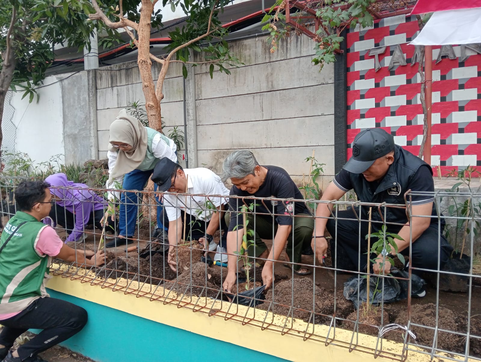 Urban Farming Wonodri, Warga Tanam Ratusan Bibit Cabai