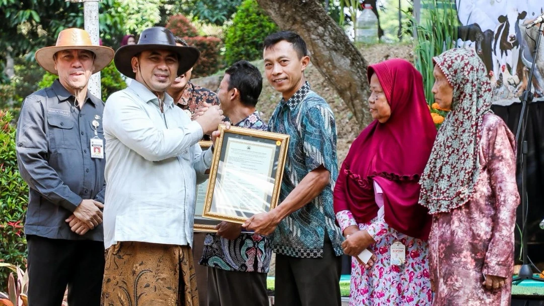 Kontribusi Nasional 9,4 Persen, Pemprov Jateng Andalkan Teknologi Atur Jenis Kelamin Untuk Genjot Produksi Susu Sapi