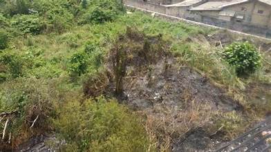 Lahan Kosong di Ciputat Terbakar dan Proses Pemadamannya Cukup Sulit.